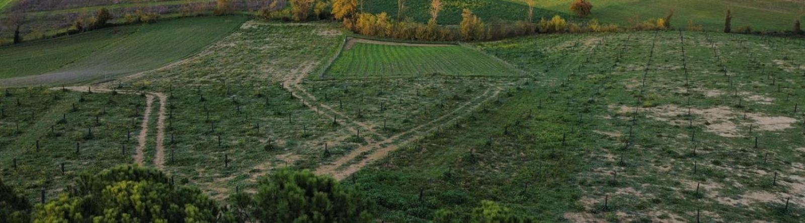Agriturismo La Terrazza Sul Mangia Siena Exteriér fotografie