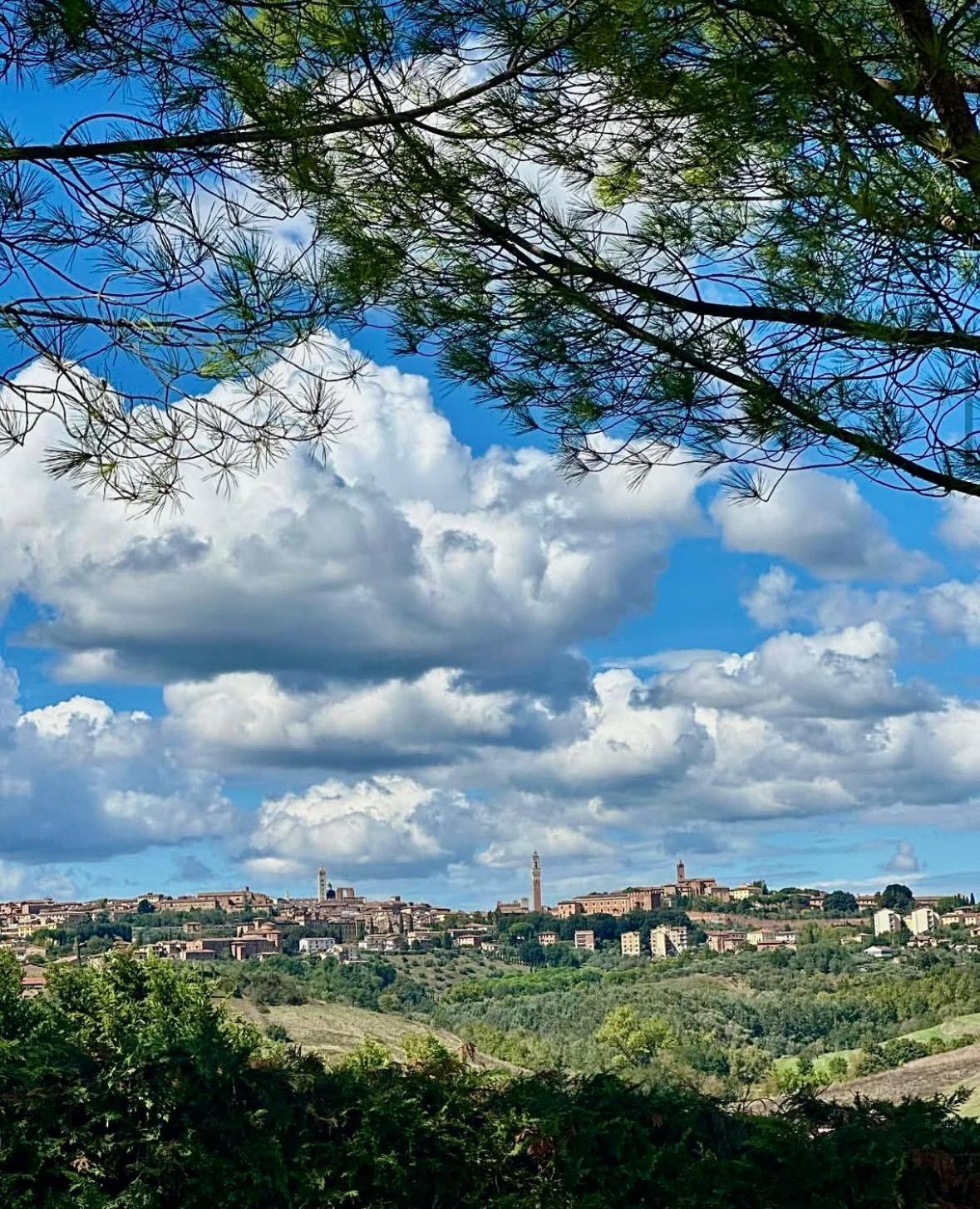 Agriturismo La Terrazza Sul Mangia Siena Exteriér fotografie
